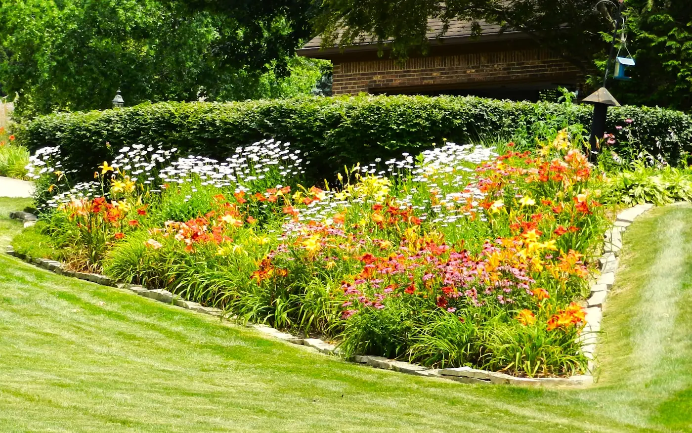 A freshly planted perennial bed with a crisp lawn edge in front of a brick home